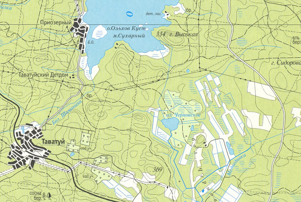 Карта озера Черновское и окрестностей